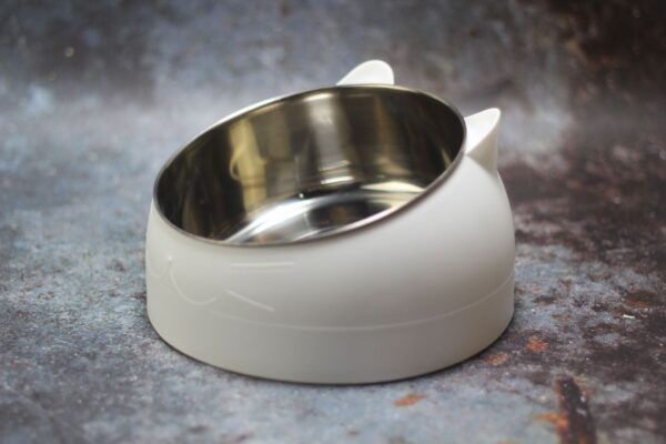 Protective Cervical Cat Bowl Oblique Mouth Pet Bowl - Image 10