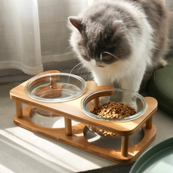 Glass cat bowl cat food bowl cat food bowl - Image 3