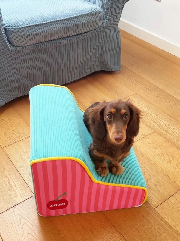 Pet Stairs Step Small Removable And Washable Sponge - Image 3