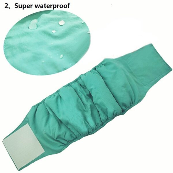 Large dog physiological pants pet supplies - Image 2
