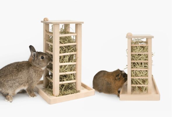 Rabbit Multifunctional Square Grass Frame - Image 3