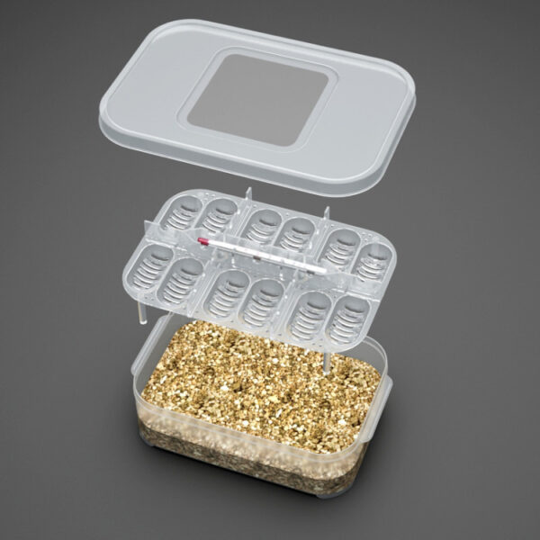 Reptile Gecko Egg Tray Lncubator Box Snake Lizard Lncubator - Image 5