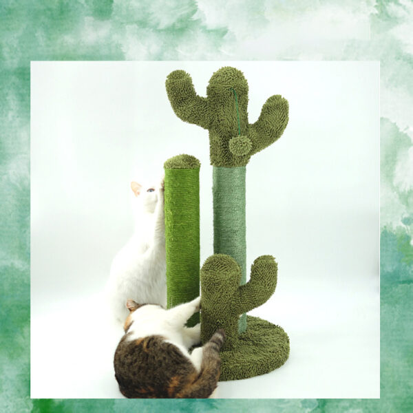 Cats Scratching Kitten Climbing Cactus Tree - Image 2