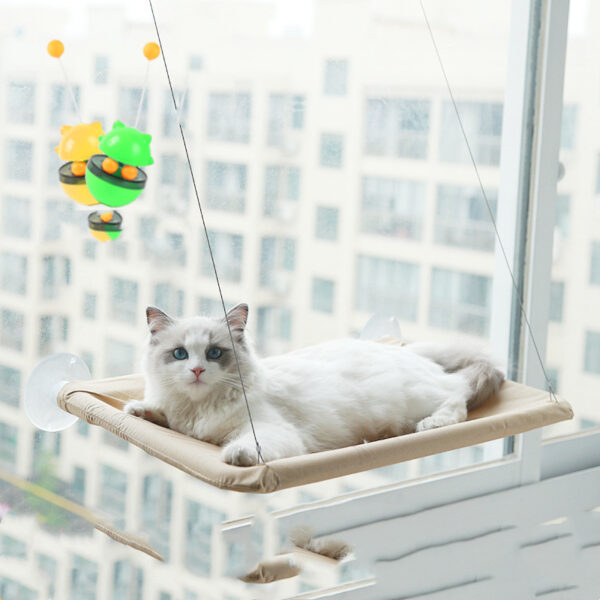 Suction Cup Hanging Bed For Summer Sunbathing Swing Cat Supplies - Image 8