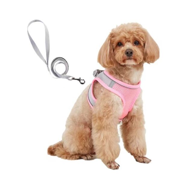 Dog Hand Holding Rope Vest Small Dog Dog Leash Teddy Bichon Breathable Chest Strap Pomeranian Puppy Small Dog Leash - Image 5