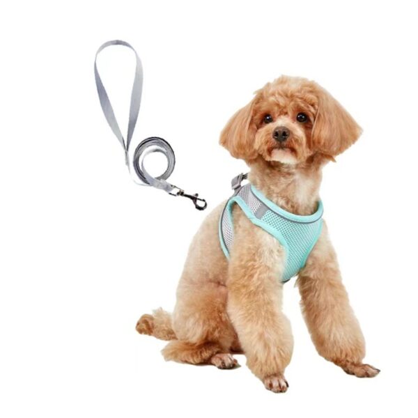 Dog Hand Holding Rope Vest Small Dog Dog Leash Teddy Bichon Breathable Chest Strap Pomeranian Puppy Small Dog Leash - Image 9