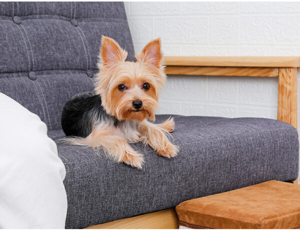 Small Dog Stairs - Pet Stairs For Couch And High Beds, Folding Steps, Pet Toy Storage, Cat Stairs For Bed-Allows Your Pets Easy Instant Access To Your Sofa Or Bedside - Image 6