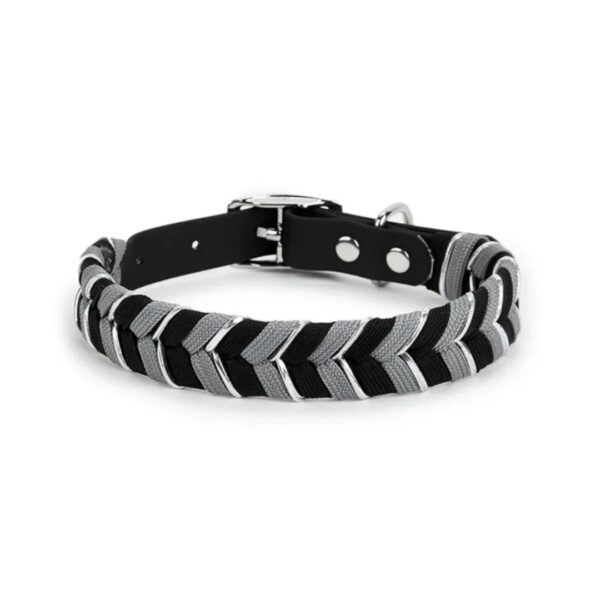 Pet Collar Metal Buckle Dog Collar Traction - Image 3
