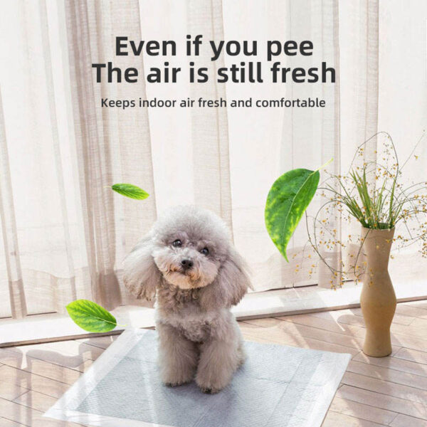 Pet Thickened Deodorant Urine Pad - Image 3