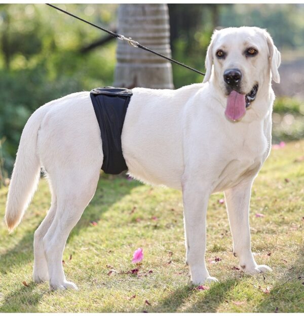 Sterilization Menstrual Panties Anti-harassment Male Dog Diaper Pants Bellyband - Image 7