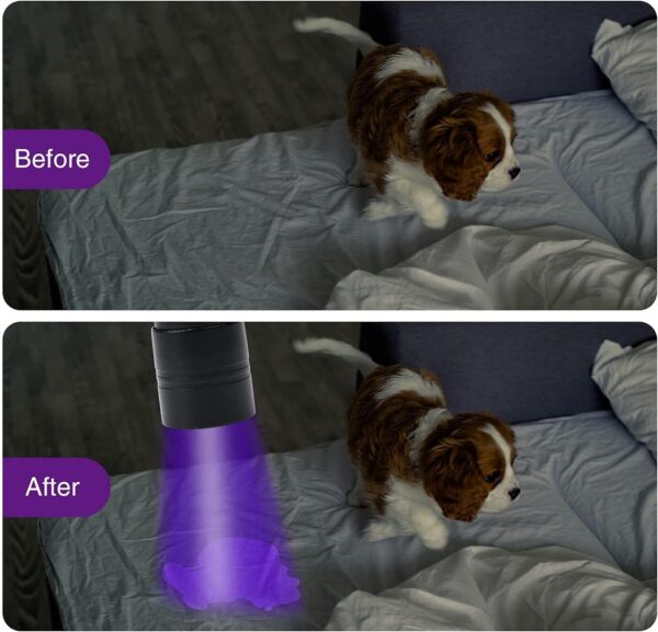 UV Flashlight LED Handheld Blacklight Flashlight Mini Light Torch Detector For Dog Pet Urine Stains Bed Bugs And Scorpions Batteries Not Included - Image 6