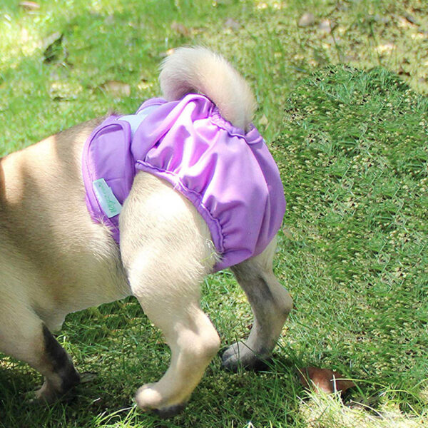 Pet Physiological Pants Dog Waterproof Menstrual Pants Velcro - Image 7