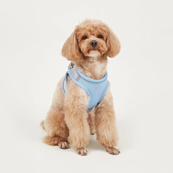 Dog Hand Holding Rope Vest Small Dog Dog Leash Teddy Bichon Breathable Chest Strap Pomeranian Puppy Small Dog Leash - Image 7