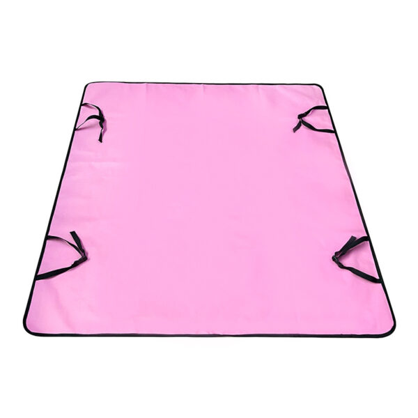 Car Pet Mat Rear Seat Water And Dirt Resistant Isolation Pad - Image 2