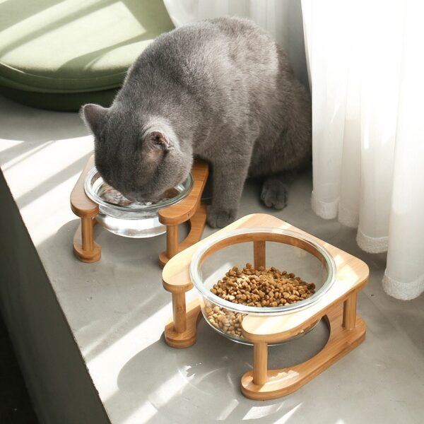 Glass cat bowl cat food bowl cat food bowl - Image 4