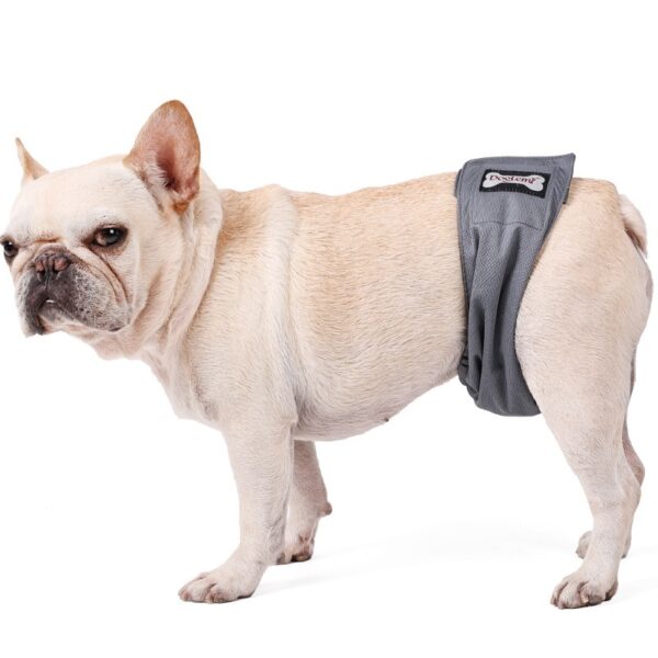 Sterilization Menstrual Panties Anti-harassment Male Dog Diaper Pants Bellyband - Image 9