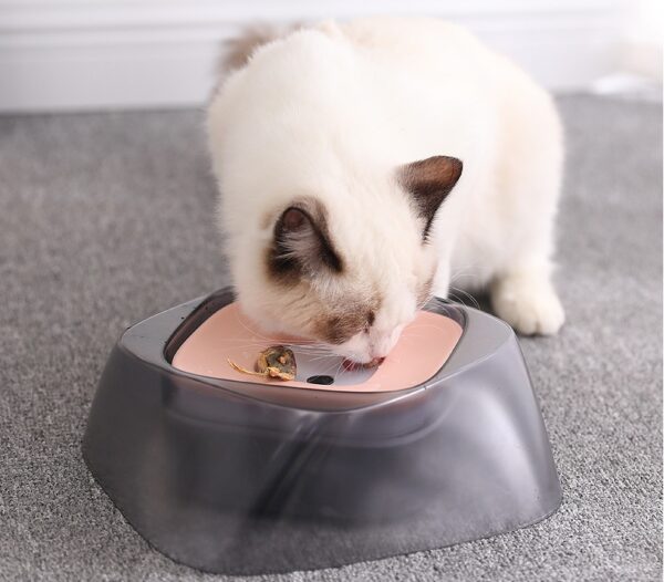 Pet Dog Bowl Floating Not Wetting Mouth Cat Bowl No Spill Drinking Water Feeder - Image 4