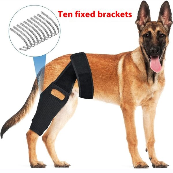 Tear Protection Rehabilitation Training Belt - Image 6