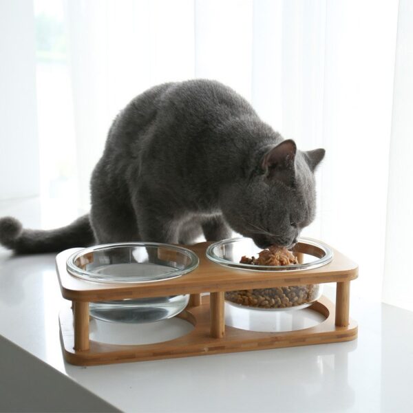 Glass cat bowl cat food bowl cat food bowl - Image 2