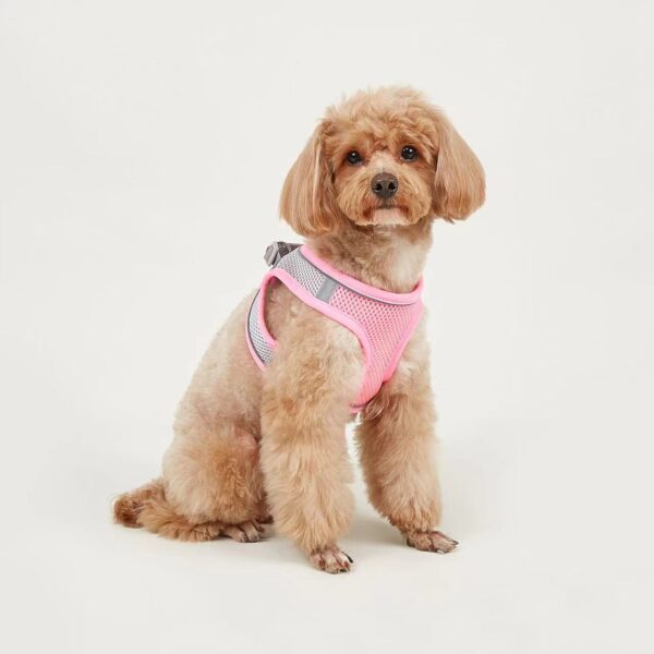 Dog Hand Holding Rope Vest Small Dog Dog Leash Teddy Bichon Breathable Chest Strap Pomeranian Puppy Small Dog Leash - Image 3