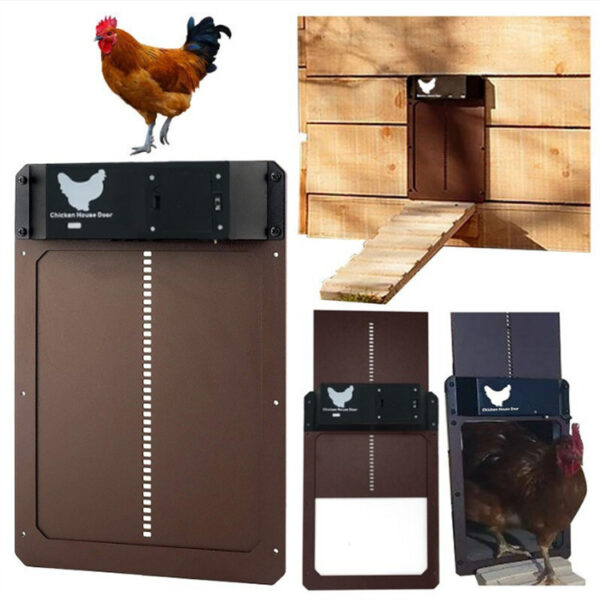 Coop Pet Door Automatic Chicken Coop - Image 3