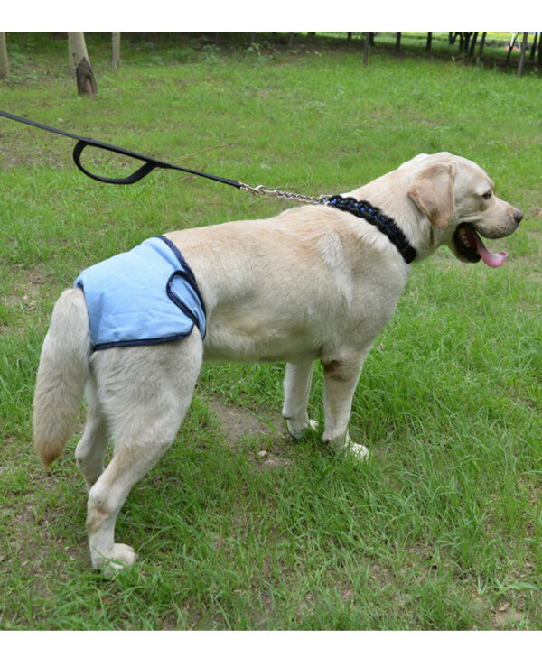 Pet Dog Simple Velcro Physiological Pants - Image 2