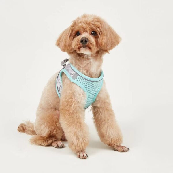 Dog Hand Holding Rope Vest Small Dog Dog Leash Teddy Bichon Breathable Chest Strap Pomeranian Puppy Small Dog Leash - Image 4