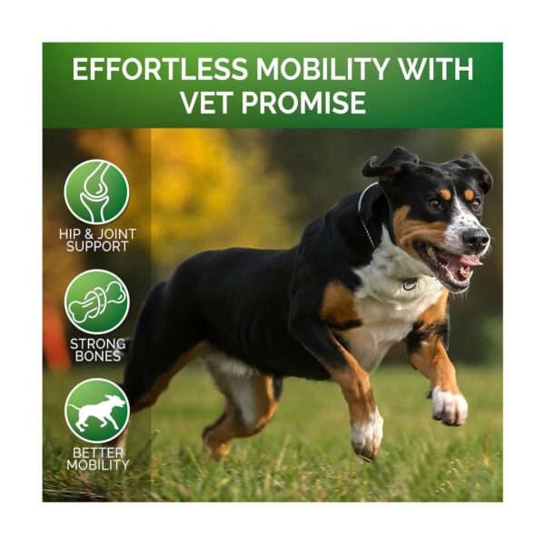 Pet Hip & Joint Supplement Chondroitin - Image 2
