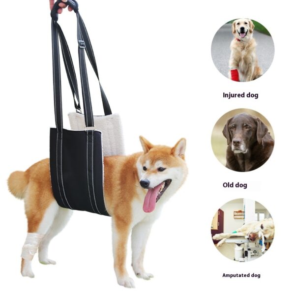 Adjustable Dog Rehabilitation Training Belt Elderly Disabled Pet Supplies - Image 5