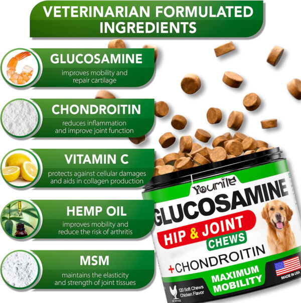 Pet Hip & Joint Supplement Chondroitin - Image 4