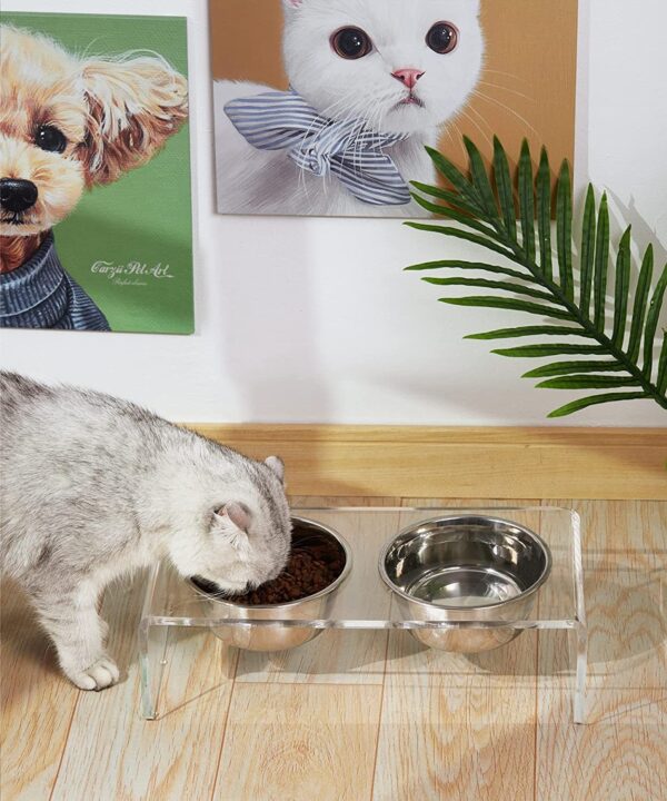 Acrylic Dogs And Cats Pet Feeder Small Cat Dog Feeding Rack - Image 2