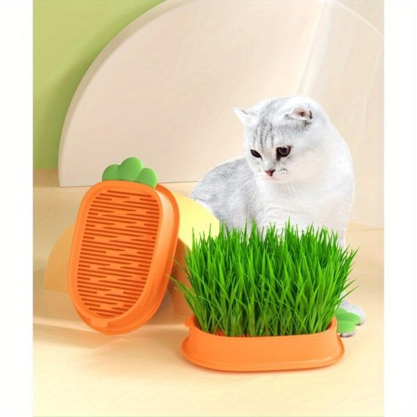 Carrot Design Cat Grass Growth Kit Grass Planting Box Plastic Pet Grass Tray Pet Supplies Including Seeds - Image 3