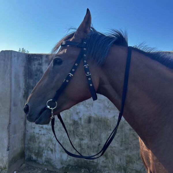Horse Halter Rope Riding Hose Bridle Fiber - Image 2
