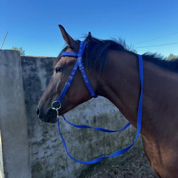 Horse Halter Rope Riding Hose Bridle Fiber - Image 5