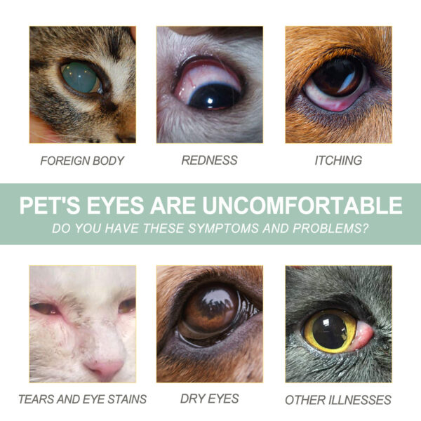 Dogs And Cats Eye Care Eye Drops - Image 3