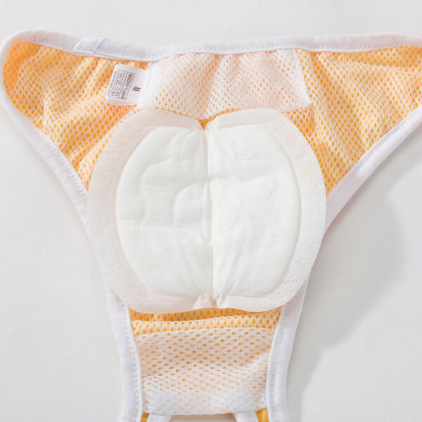 Protection Mat Dog Physical Pants - Image 3