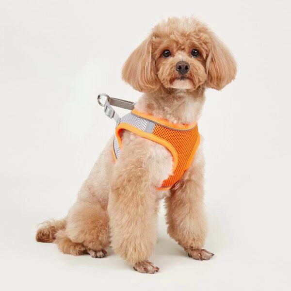 Dog Hand Holding Rope Vest Small Dog Dog Leash Teddy Bichon Breathable Chest Strap Pomeranian Puppy Small Dog Leash - Image 10