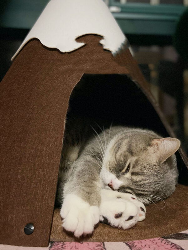 Snow-top Cat Litter Closed Warm Pet Tent - Image 4