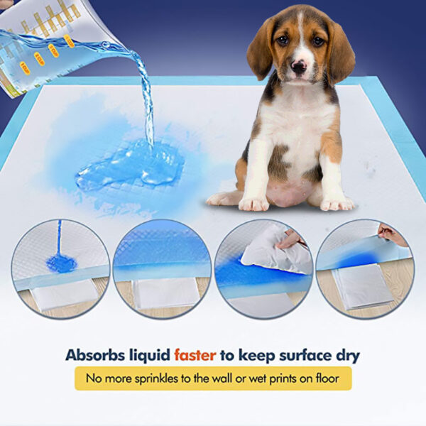 Pet Hygiene Absorbent Dog Pad - Image 7