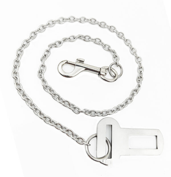 Stainless Steel Small Chain Puppy Car Safety Rope - Image 5