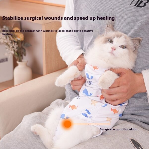 Cat Sterilization Clothing Post-operation Printing Series Four Seasons - Image 7