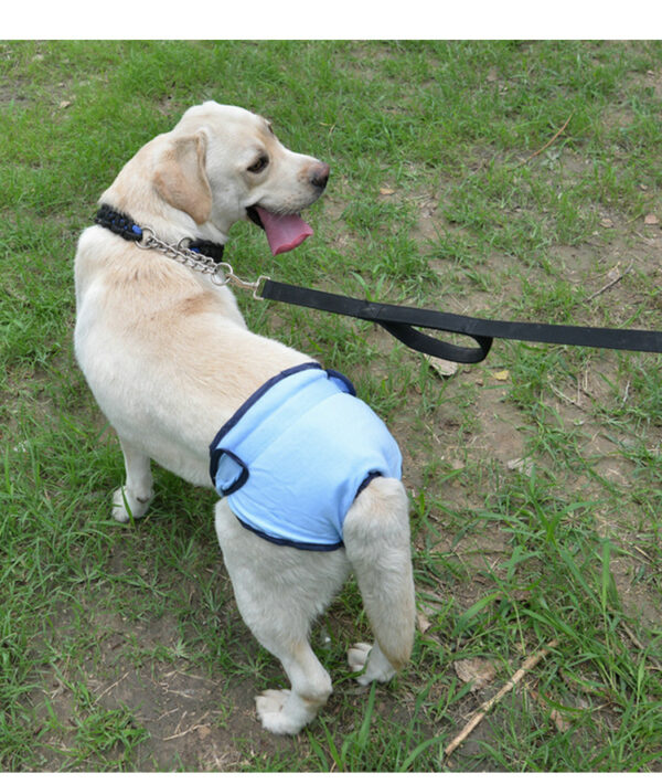 Pet Dog Simple Velcro Physiological Pants - Image 7