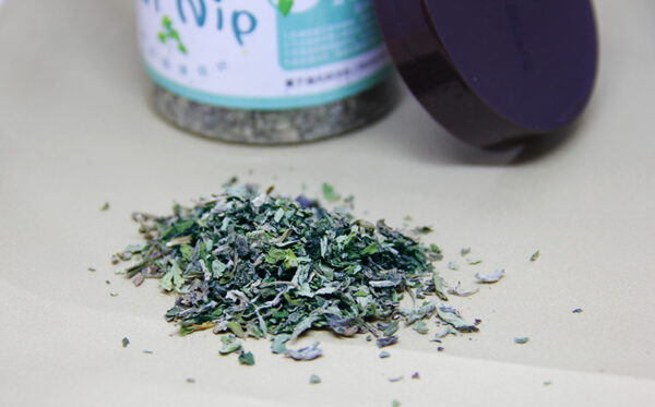 Catnip Tea Powder Depilation Ball 280ML - Image 3