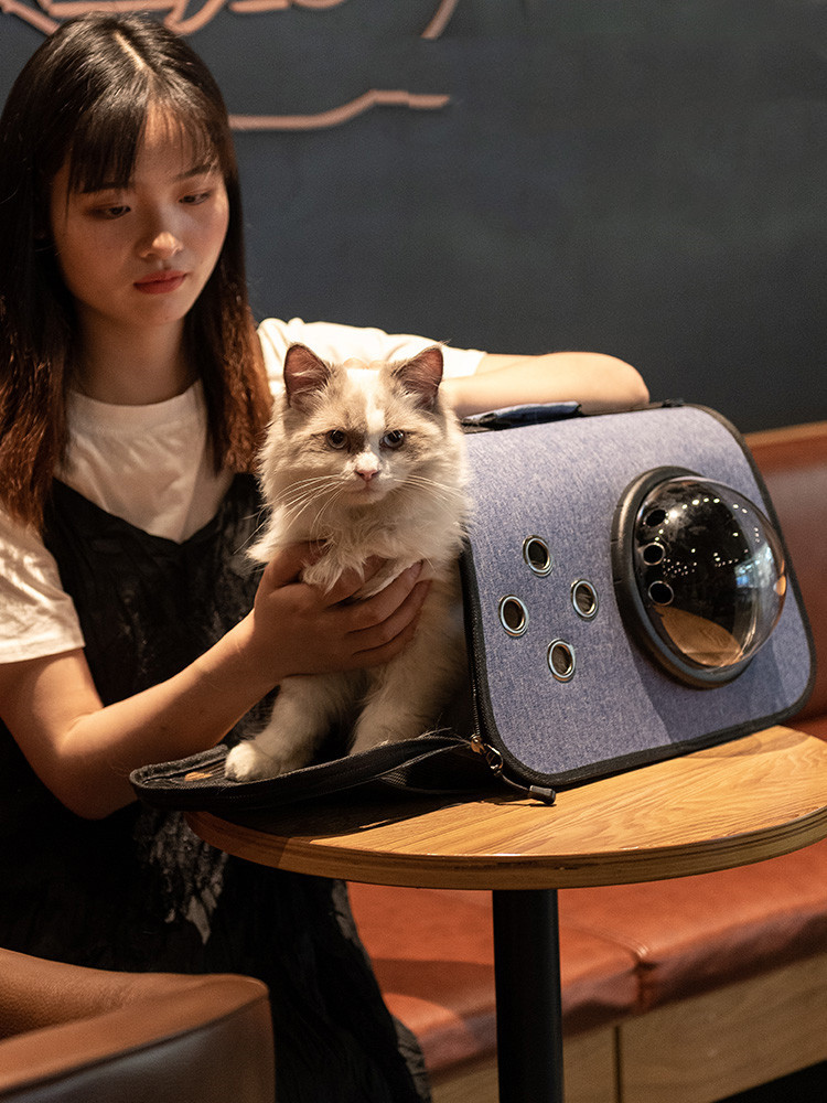 Go Out Portable Pet Cat Messenger Portable Cage - Image 9