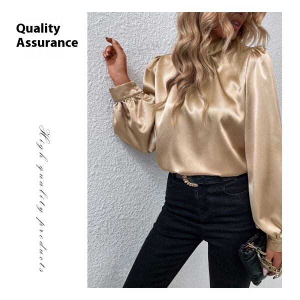 Stand-up Collar Puff Sleeve T-shirt Female Satin - Image 5