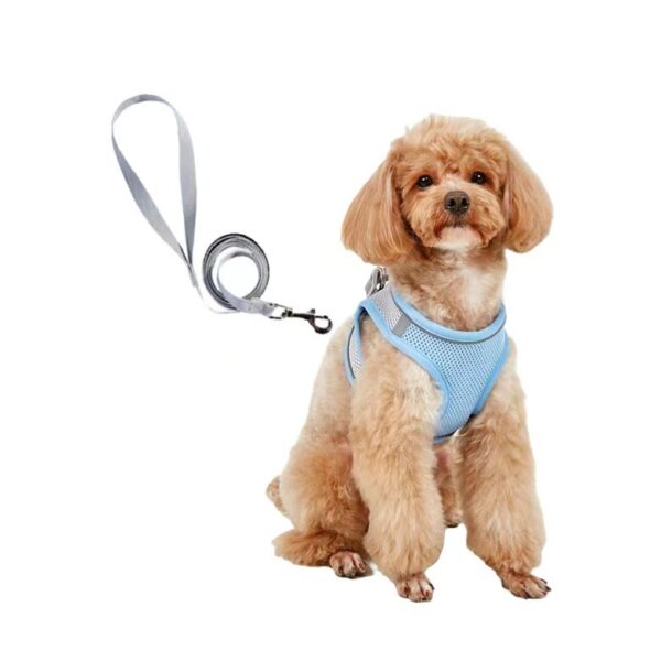 Dog Hand Holding Rope Vest Small Dog Dog Leash Teddy Bichon Breathable Chest Strap Pomeranian Puppy Small Dog Leash - Image 8