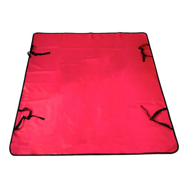 Car Pet Mat Rear Seat Water And Dirt Resistant Isolation Pad - Image 6