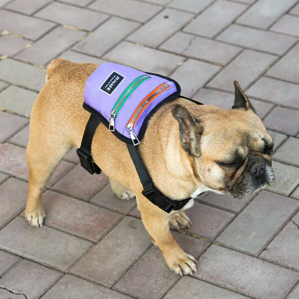 Pet Dog Outdoor Travel Backpack - Image 3
